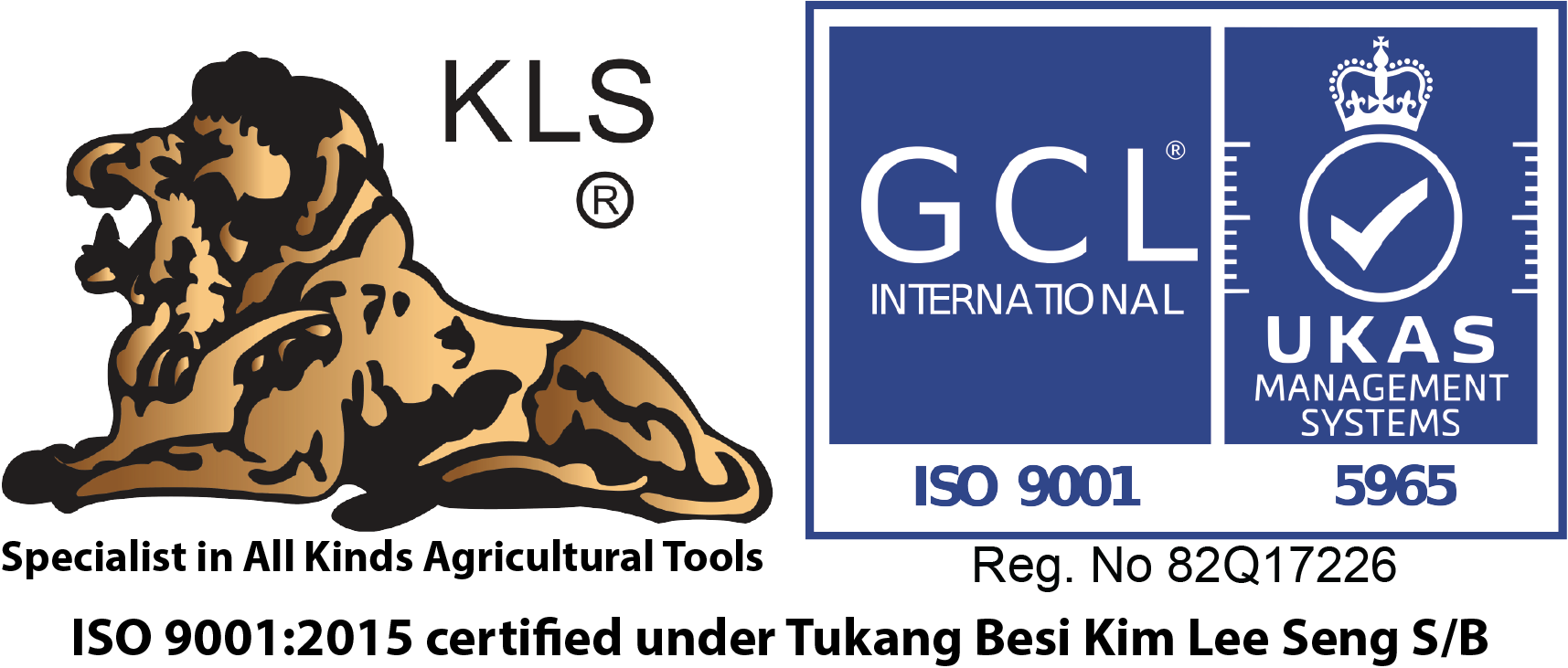 Palm King Certification